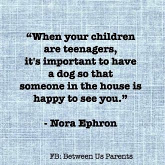 d308a4e45501d043b9faa3abee83a3f2--parenting-teenagers-quotes-about-teenagers-and-parents